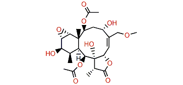 Briarenolide U